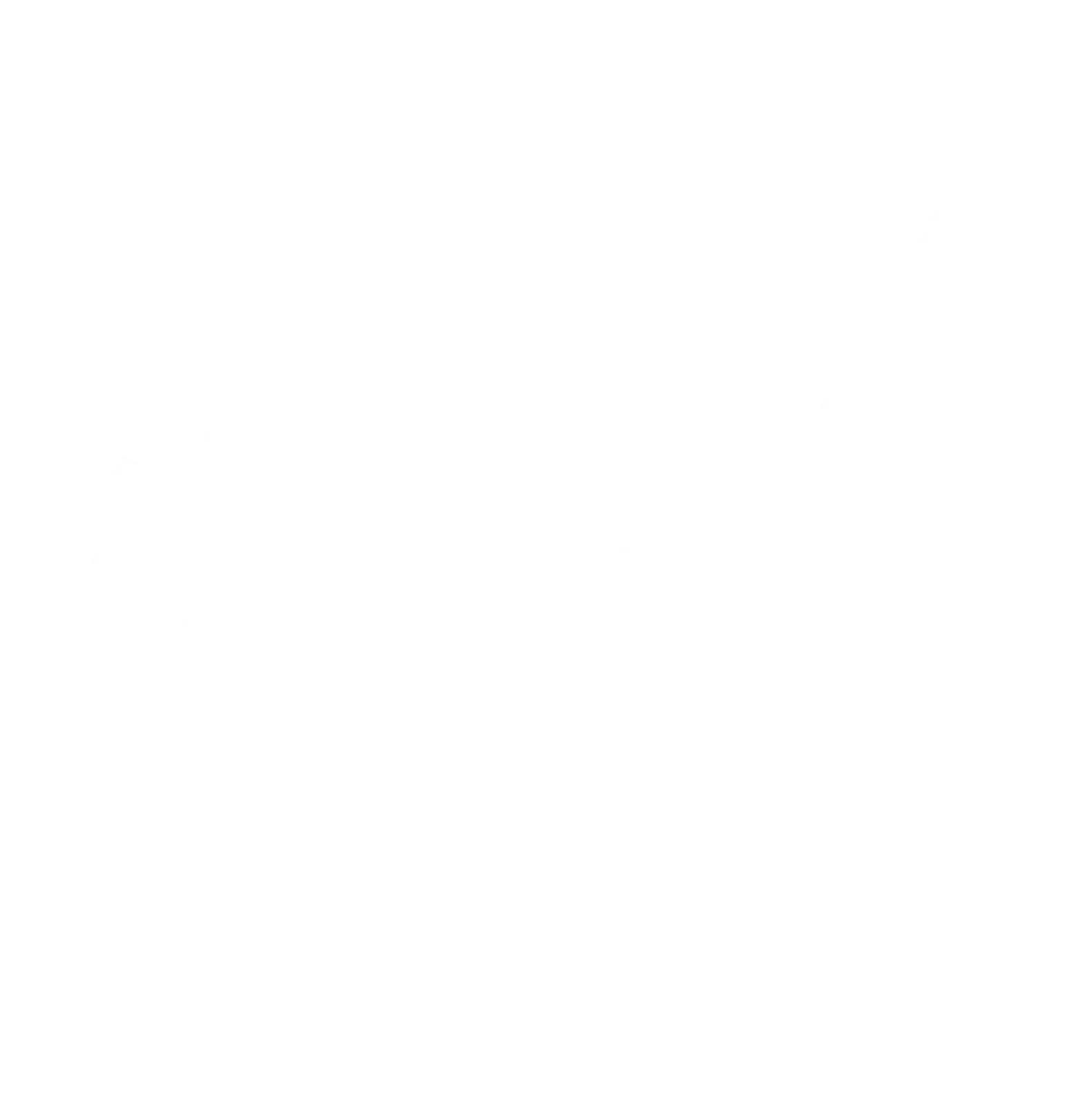 Mr Demo Pro - Professional Demolition Services Logo